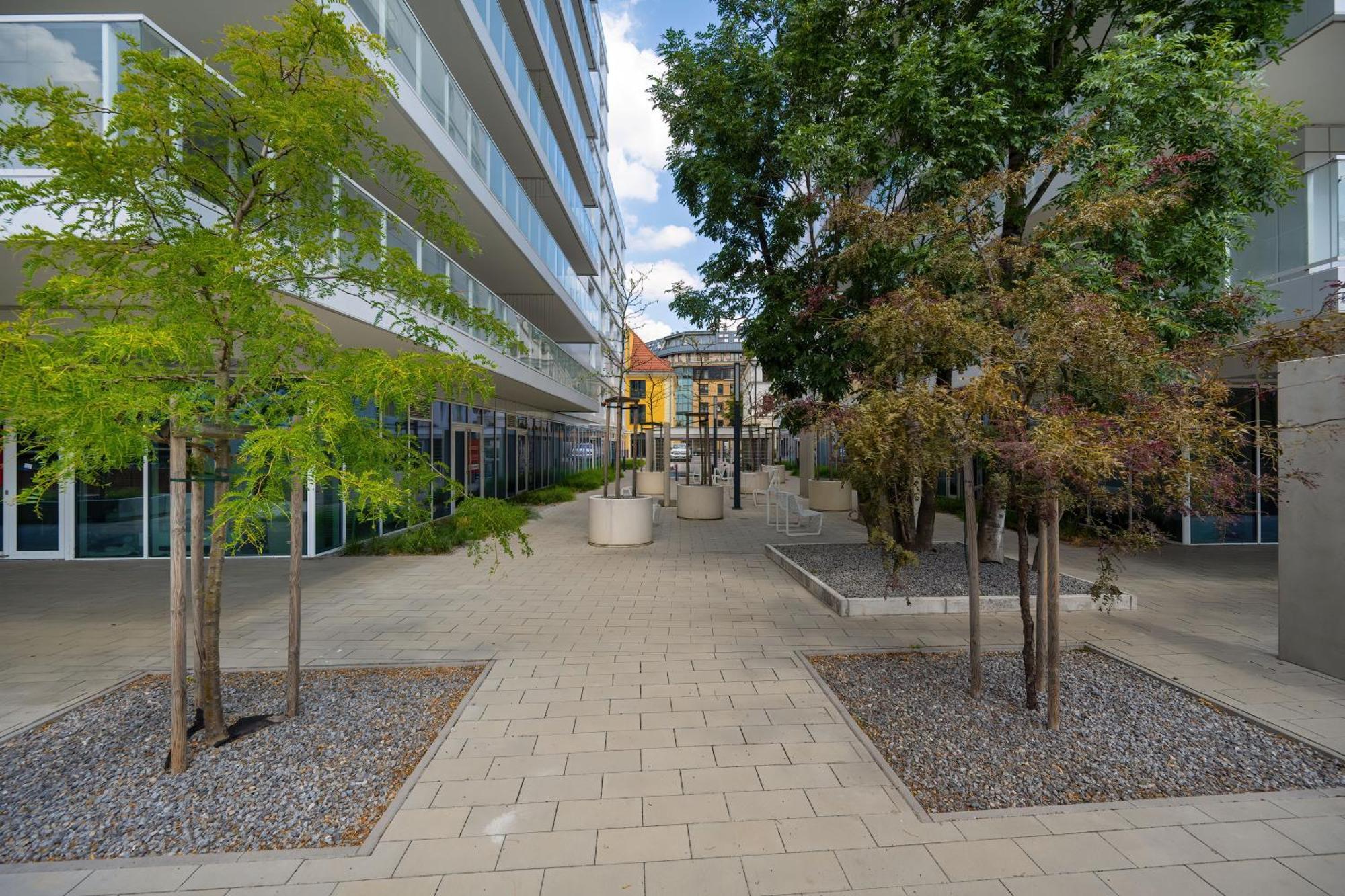 Elegancki Apartament Z Parkingiem Blisko Starego Miasta By Noclegi Renters Wrocław Zewnętrze zdjęcie